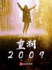 重溯2009封面