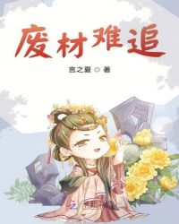 廢材王妃太難追封面