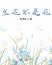 兰花不是花封面