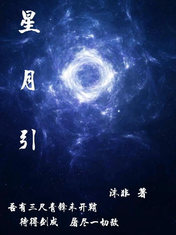 星月引封面