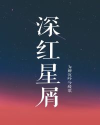 [韩娱]深红星屑封面