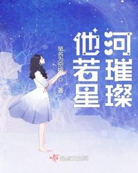 他若星河璀璨封面