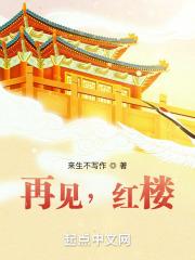 再见，红楼封面