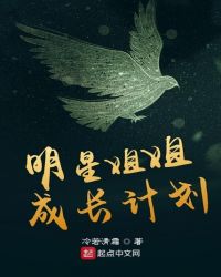 明星姐姐成长计划封面