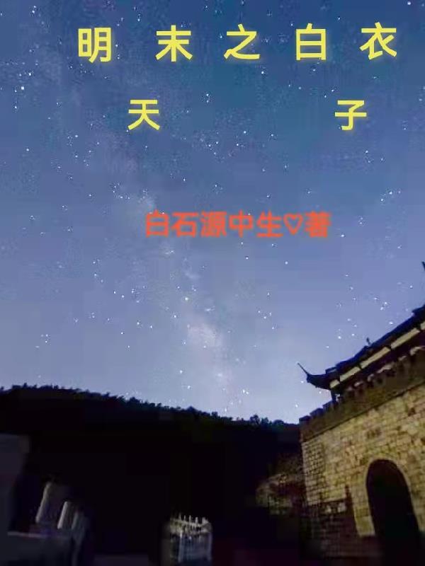 明末之白衣天子封面