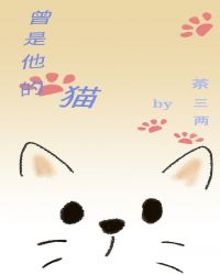 曾是他的猫封面