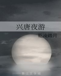 兴唐夜游封面