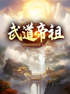 武道帝祖封面