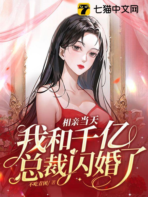 相亲当天，我和千亿总裁闪婚了封面