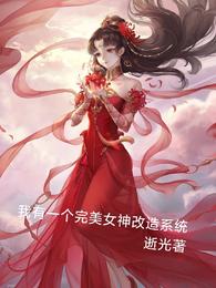 我有一个完美女神改造系统封面