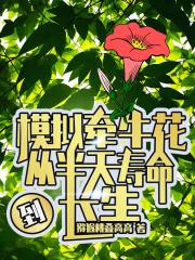 模拟牵牛花，从半天寿命到长生封面