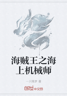 海贼王之海上机械师封面