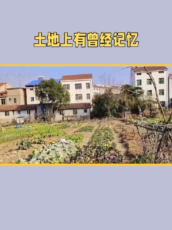 土地上有曾經記憶封面