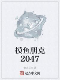 摸鱼朋克2047封面