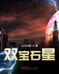 双宝石星封面