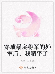 穿成暴戾将军的外室后，我躺平了封面