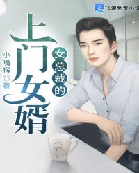 女总裁的上门女婿封面