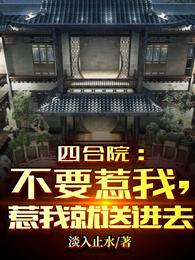 四合院：不要惹我，惹我就送进去封面