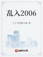 亂入2006封面