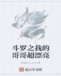 斗之我是你哥封面