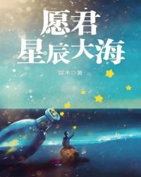 愿君星辰大海封面