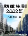 我重生到2002年封面