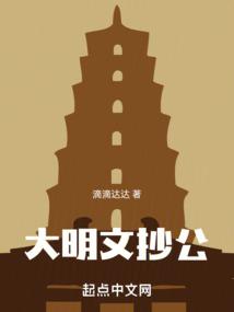 大明文抄公封面