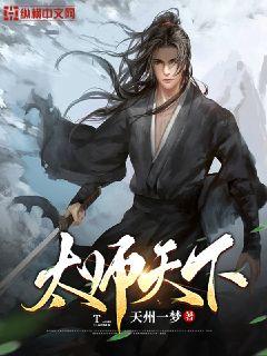 太师天下封面