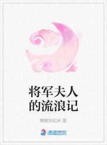 将军夫人的流浪记封面