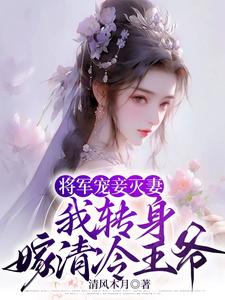 将军宠妾灭妻，和离后却追悔莫及封面