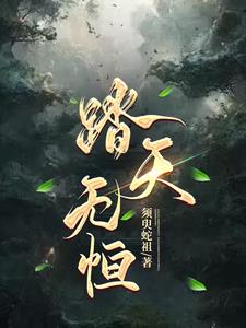 踏天无恒封面