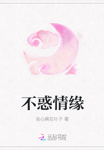 不惑情缘封面