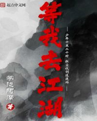 等我去江湖封面