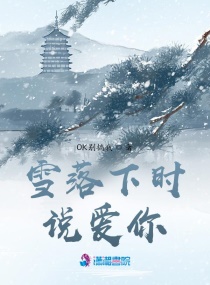 雪落下時說愛你封面