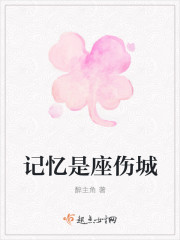 记忆是座伤城