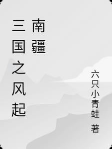 三国之风起南疆封面