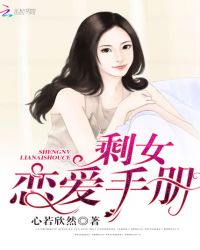 剩女戀愛手冊封面