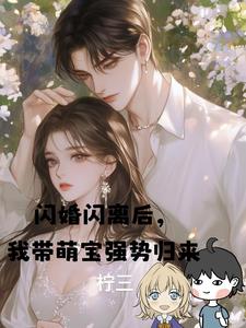 闪婚闪离后，我带萌宝强势归来封面