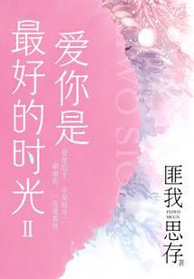 愛你是最好的時光Ⅱ（鍾漢良、李小冉主演電視劇《今生有你》原著）封面
