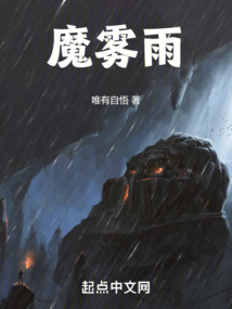 魔雾雨封面