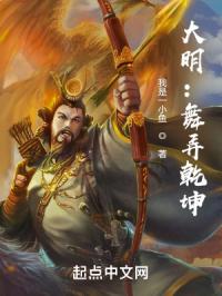 大明：舞弄乾坤封面