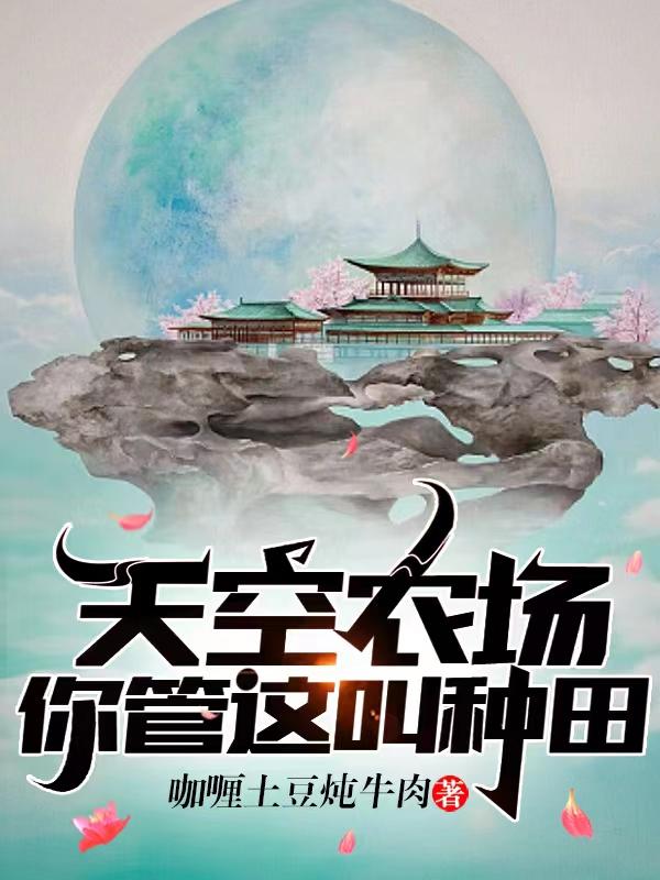 天空农场，你管这叫种田？封面