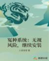 冤种系统：无视风险，继续安装封面