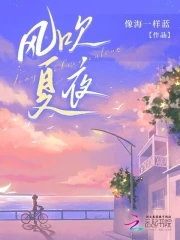 风吹夏夜封面