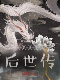 全职法师之后世传封面