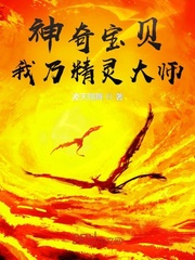 神奇宝贝：我乃精灵大师封面