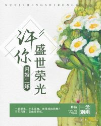 闪婚二嫁：许你盛世荣光封面