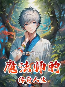 魔法师的传奇人生封面