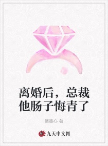 离婚后，总裁他肠子悔青了封面