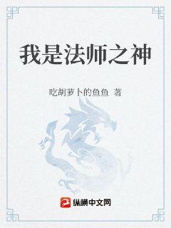 我是法师之神封面